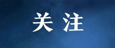 独家视频丨习近平：中埃关系已经发展成为中国同阿拉伯 非洲 伊斯兰和发展中国家团结协作 互利共赢的生动写照