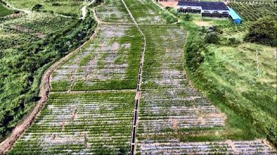习近平抵达匈牙利布达佩斯国际机场发表书面讲话
