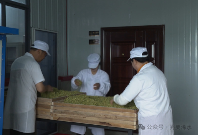 【视频】培育高素质农民 助力中药材产业发展