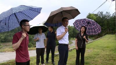 鲍晨辉检查督导防汛备汛工作