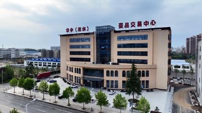 【视频】【强县工程看浠水】做优“好物产” 助推富民大产业