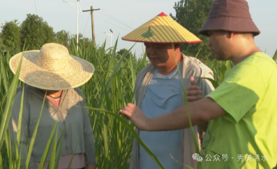 【视频】服务到田 跑腿进院“农”企少烦忧