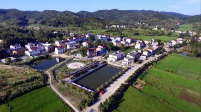 独家视频丨习近平：中国永远是塔吉克斯坦值得信任的朋友 可以倚重的伙伴 亲密无间的兄弟 