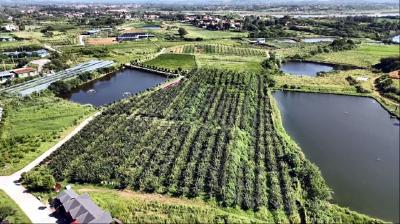 【视频】浠水县37家企业拟认定为黄冈市农业产业化市级重点龙头企业