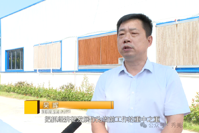 【视频】【学习贯彻党的二十届三中全会精神 奋战三季度 决胜下半年】专访汪岗镇党委书记吴晖