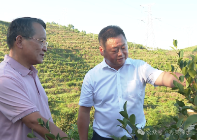 【政协委员提案追踪】浠水持续推进油茶产业高质量发展