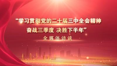 【视频】【学习贯彻党的二十 届三中全会精神 奋战三季度 决胜下半年】全媒体访谈 专访县科经局党组书