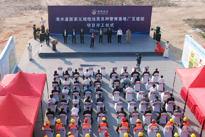 浠水县国家区域性油菜良种繁育基地厂区建设项目开工