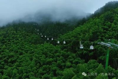 【视频】三角山国家森林公园获得国家级荣誉