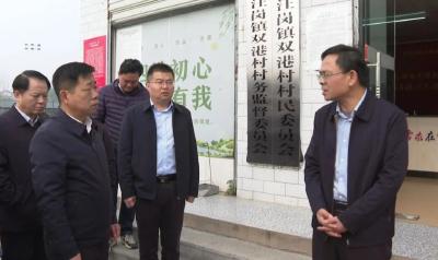 【视频】陈正红深入乡镇调研督导当前重点工作 