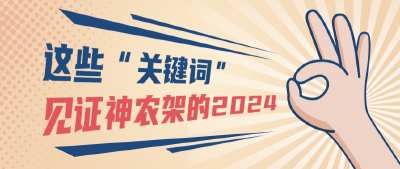 这篇推送，我们准备了366天！