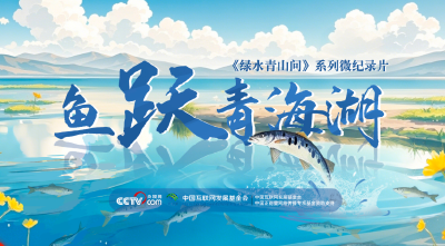 绿水青山间｜鱼跃青海湖