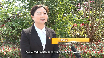 【视频】“聚力建支点 夺取开门红”全媒体访谈 专访 关口镇党委书记