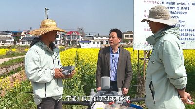 【视频】科技助力春管+护航油菜丰产