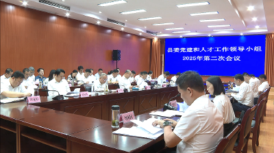 【视频】浠水县委党的建设和人才工作领导小组会议召开