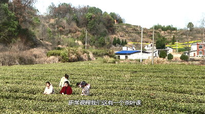 【视频】走“长征路”采“教育果”