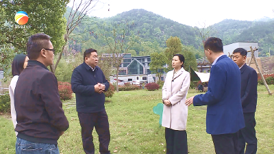 【视频】刘洁来浠水调研一季度“开门红”、文化旅游、乡村振兴等工作