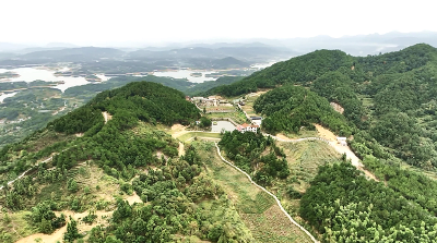 加快发展网络法治、建设更高水平法治中国