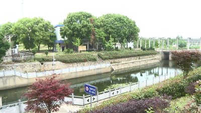 数读海报 | 2024年国家网信办促进生成式人工智能服务规范应用