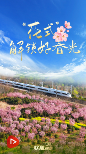 联播观察｜“花式”解锁好春光
