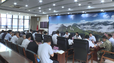 【视频】深入贯彻中央八项规定精神学习教育市委第一督导组进驻浠水见面会召开