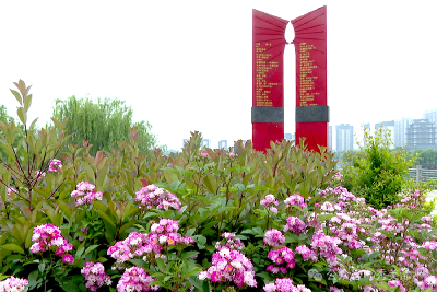 五一护绿在行动！月湖公园精细养护焕新颜
