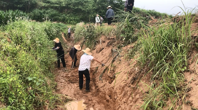 【视频】关口镇全力推进水利设施抢修 保障1.85万亩农田灌溉