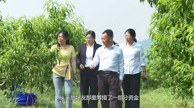 【视频】范文静：硕士“桃”金 文静姑娘的“不文静”革命