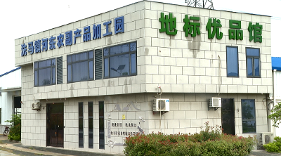 【视频】洗马镇：茴香粽里的乡村振兴密码