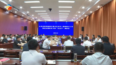 【视频】浠水县强力推进稳增长重点工作确保实现“双过半”