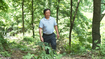 【视频】【弘扬三大精神 奋力建成支点】 程登富：廿四载白发换青山 老书记花谷写春秋