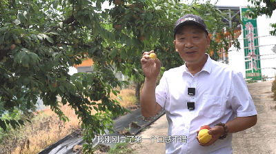 【视频】段德意：13年匠心筑梦 实现“甜蜜”致富