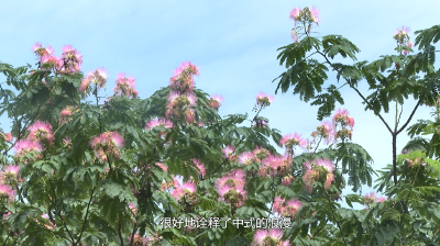 【视频】“合”美共生“欢”聚浠水