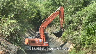 【视频】团陂镇：党群联动抢农时 清淤保灌解民忧