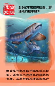 我国首次发现2.9亿年前瓣齿鲨化石 
