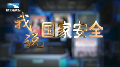 我说国家安全丨漫话“社会安全” 共筑平安中国