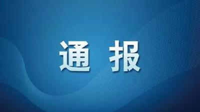 襄阳市境外返襄入襄人员有关情况通报（511）