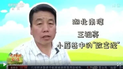 央视新闻：南漳农民的“致富经”