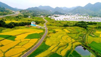 这五个县，交通运输部将继续定点帮扶对口支援