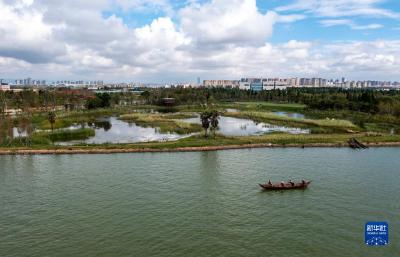 昆明宝丰半岛湿地建设进入收尾阶段 