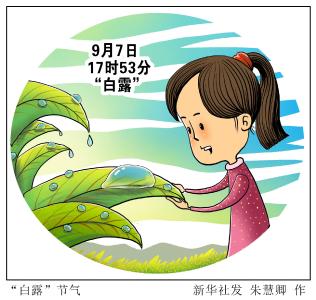 （图表·漫画）［服务·节气］“白露”节气