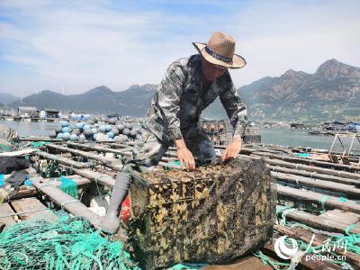 第四个中国农民丰收节：浓墨重彩绘就美景 秋收唱响大地赞歌