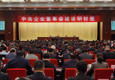 国资委：中央企业董事会建设取得重大进展和明显成效