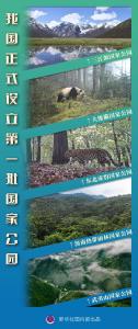 聚焦生物多样性大会·新华热评丨第一批国家公园正式设立，将带来怎样的期待？