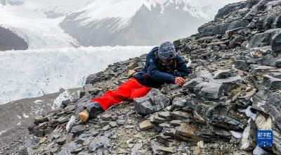 这里，种子可活千年——走进中国西南野生生物种质资源库 