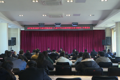 【深入学习贯彻党的十九届六中全会精神】宜城市宣传思想文化系统：部署学习宣传贯彻党的十九届六中全会精神 持续推进党史学习教育深入开展 