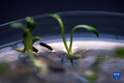 探访中国西南野生生物种质资源库