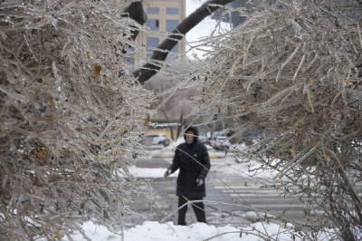 “大雪封门”，供暖、交通、蔬菜供应等如何？——直击东北暴雪中的百姓生活 