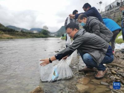 共建地球生命共同体｜106万尾赤水河土著鱼类集中放流赤水河