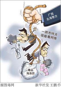 （图表·漫画）［法治］摧毁毒网